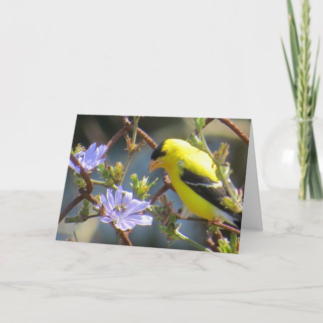 Tarjeta de felicitación Goldfinch (Anverso)