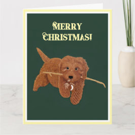 Tarjeta de Felicitación Goldie Doodle