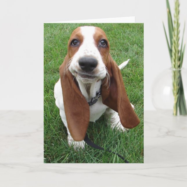 Tarjeta de felicitación Goofy Basset Hound (Anverso)