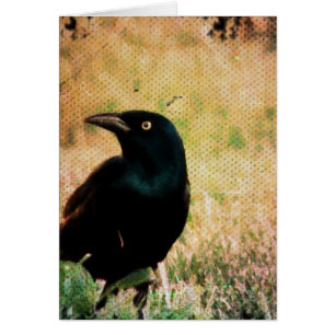 Tarjeta de felicitación Grackle Bird All Occasis