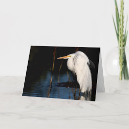 Tarjeta de felicitación - gran jorobado del egret