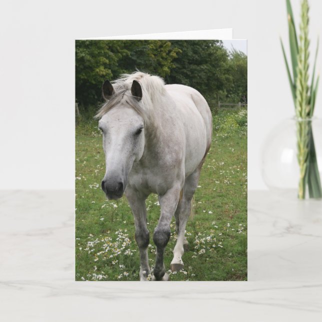 Tarjeta de felicitación Gray Horse (Anverso)