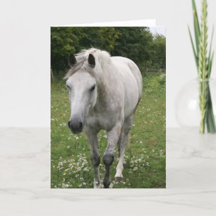 Tarjeta de felicitación Gray Horse
