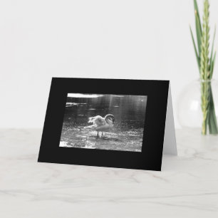 Tarjeta de felicitación Gray Swan