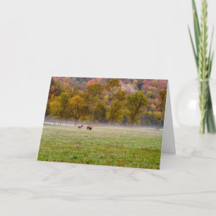 Tarjeta de felicitación Grazing Elk Couple