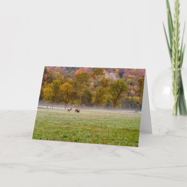 Tarjeta de felicitación Grazing Elk Couple (Anverso)