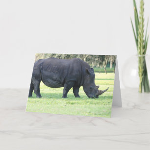 Tarjeta de felicitación Grazing Rhino