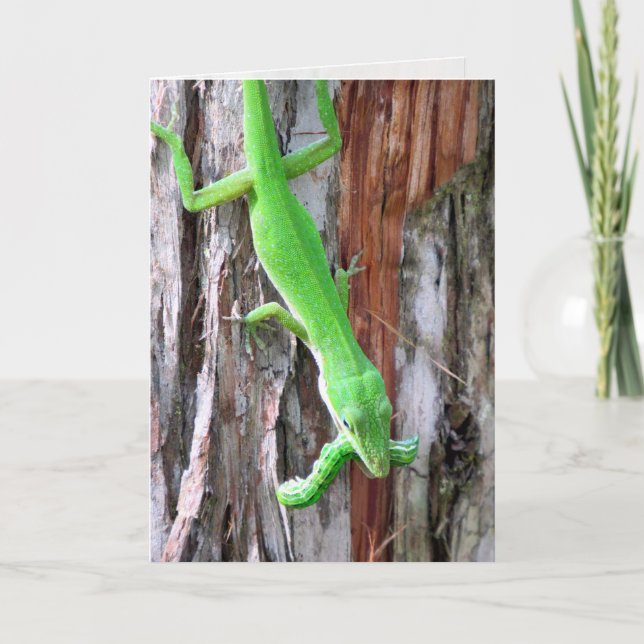 Tarjeta de felicitación Green Anole (Lizard) (Anverso)