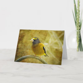 Tarjeta de felicitación Grosbeak para la noche tex