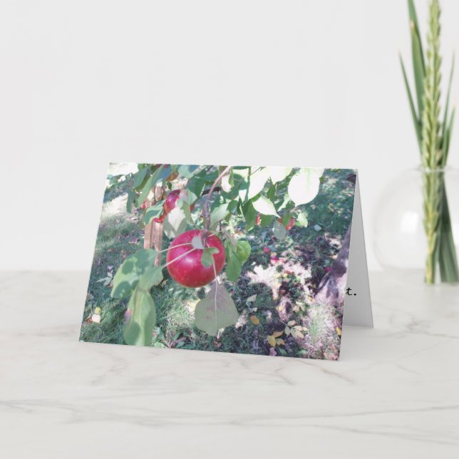 Tarjeta de felicitación "Hanging Apple" (Anverso)