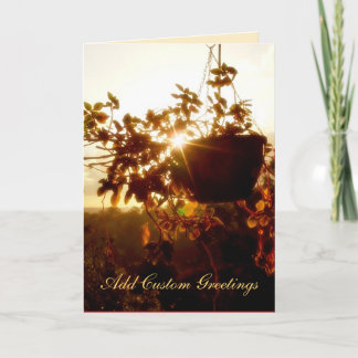 Tarjeta de felicitación Hanging Garden Sun Twinkle