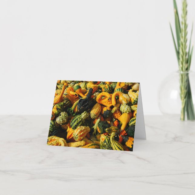 Tarjeta de felicitación Happy Harvest Gourds (Anverso)