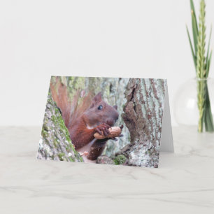 Tarjeta de felicitación Happy Squirrel