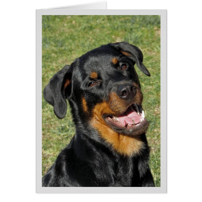 Tarjeta de felicitación Heidi Cute Rottweiler Blan (Frente)