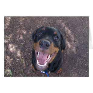 Tarjeta de felicitación Heidi Happy Rottweiler Bla