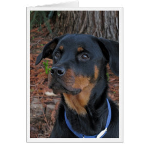 Tarjeta de felicitación Heidi Rottweiler Blank
