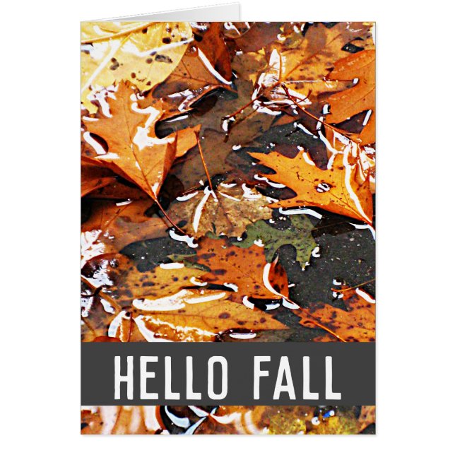 Tarjeta de felicitación Hello Fall Rainy Leaves (Frente)