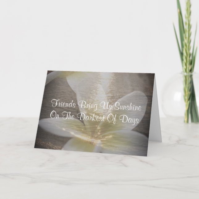 Tarjeta de felicitación hermosa del Plumeria de la (Anverso)