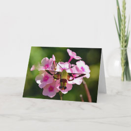 Tarjeta de felicitación Hummingbird Moth Blank