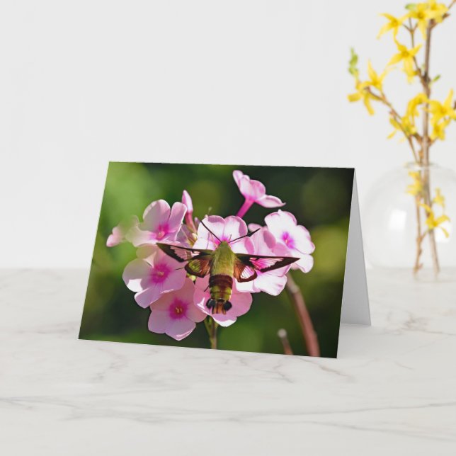 Tarjeta de felicitación Hummingbird Moth Blank (flor amarilla)