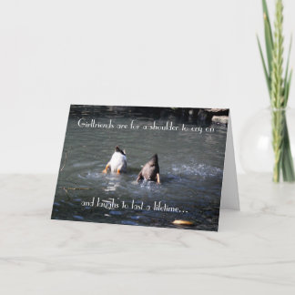 Tarjeta de felicitación - Humor de amistad