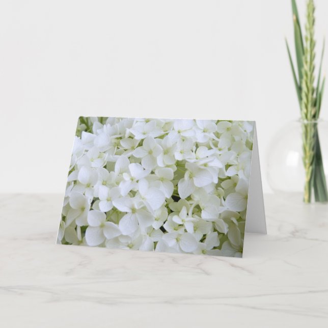 Tarjeta de felicitación - Hydrangea blanca (Anverso)