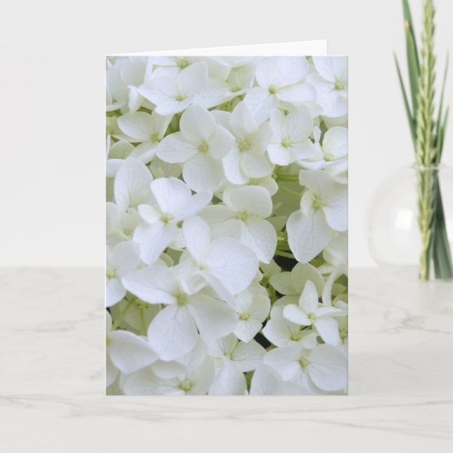 Tarjeta de felicitación - Hydrangea blanca (Anverso)