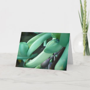 Tarjeta de felicitación ideal del jade