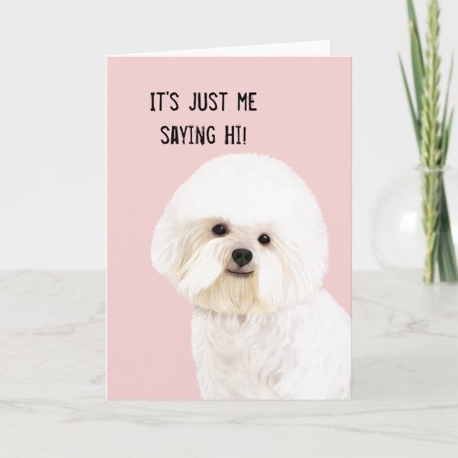 Tarjeta de felicitación ilustrada Frise de Bichon (Anverso)