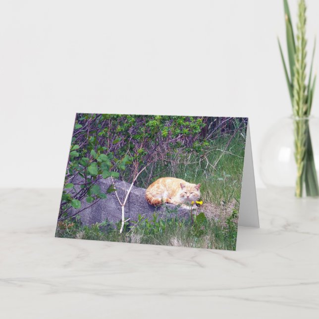 Tarjeta de felicitación incondicional (Anverso)