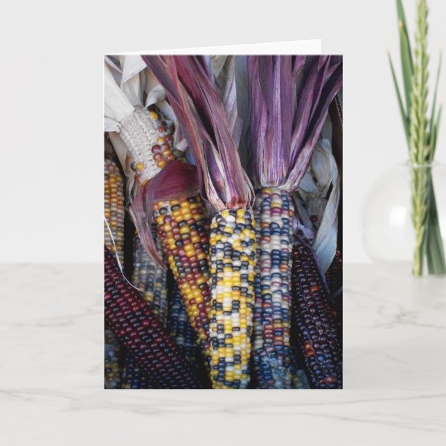 Tarjeta de felicitación 'Indian Corn' en blanco (Anverso)