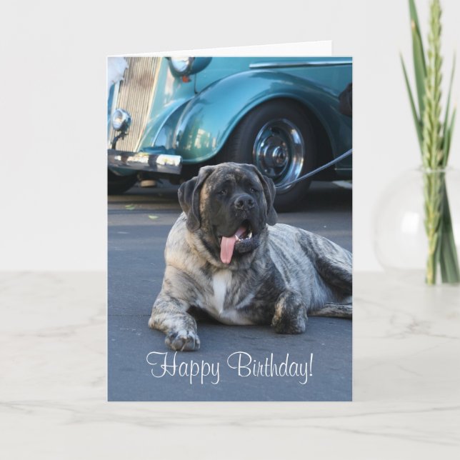 Tarjeta de felicitación inglesa del mastín del (Anverso)