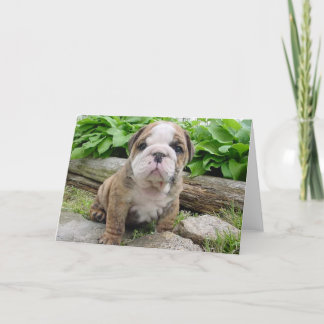 Tarjeta de felicitación inglesa del perrito del