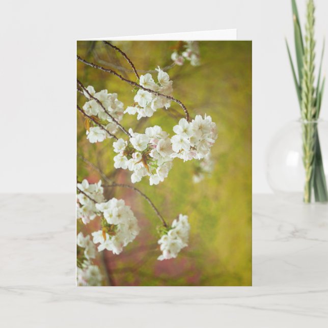Tarjeta de felicitación, interior en blanco (Anverso)