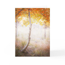 Tarjeta de felicitación, interior en blanco