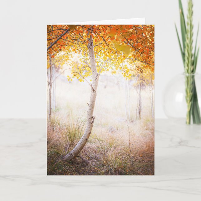 Tarjeta de felicitación, interior en blanco (Anverso)