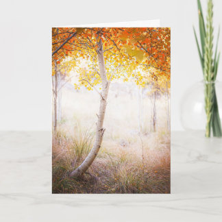 Tarjeta de felicitación, interior en blanco