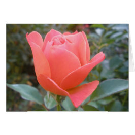 Tarjeta de felicitación interior en blanco