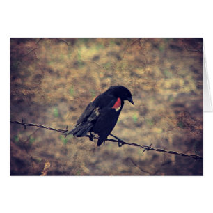 Tarjeta de felicitación interna de Red Wingbird Bl