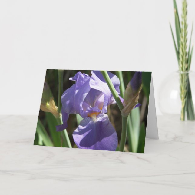 Tarjeta de felicitación Iris Garden (Anverso)