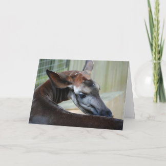 Tarjeta de felicitación "Itchy Okapi"