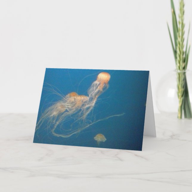 Tarjeta de felicitación JellyFish (Anverso)