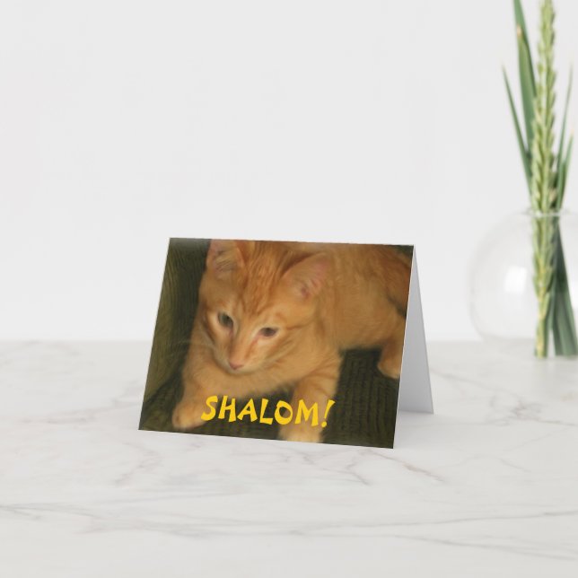 Tarjeta de felicitación judía del gatito "SHALOM" (Anverso)
