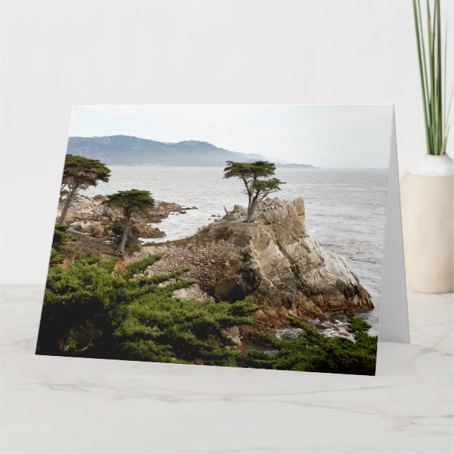 Tarjeta de felicitación Jumbo LONE CYPRESS (Anverso)