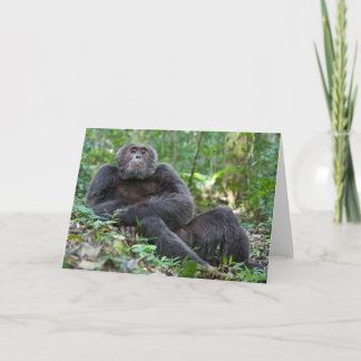 Tarjeta de felicitación Kibale Chimpanzee - "Lanjo