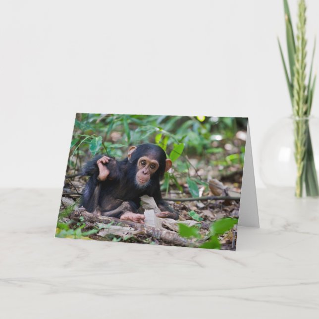Tarjeta de felicitación Kibale Chimpanzee - Quiver (Anverso)