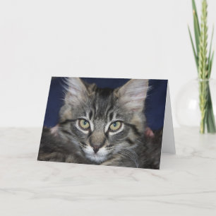 Tarjeta de felicitación Kimber Kitten Blank