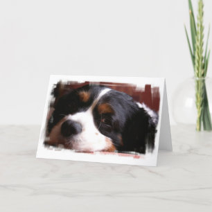 Tarjeta de felicitación King Charles Cavalier Span