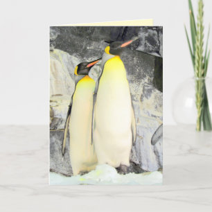Tarjeta de felicitación King Penguins