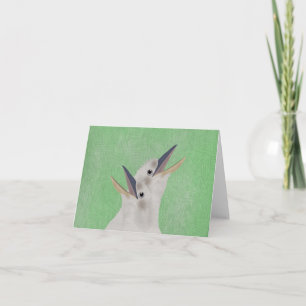 Tarjeta de felicitación Kookaburra